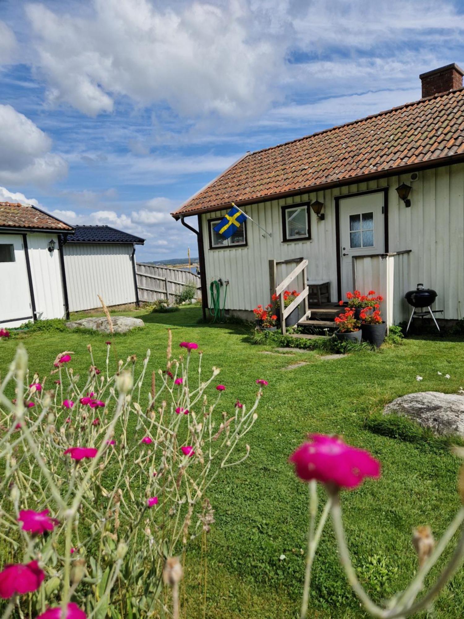 Cabin At The Sea Close To Public Beach With A Jumpingtower Hoviksnas 외부 사진